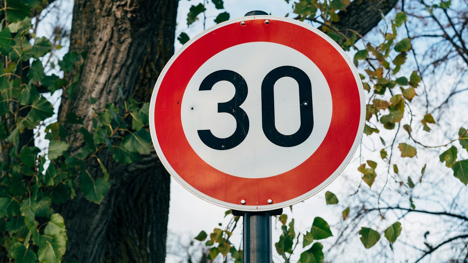 a red and white speed limit sign next to a tree